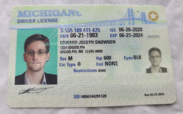 Michigan Fake ID