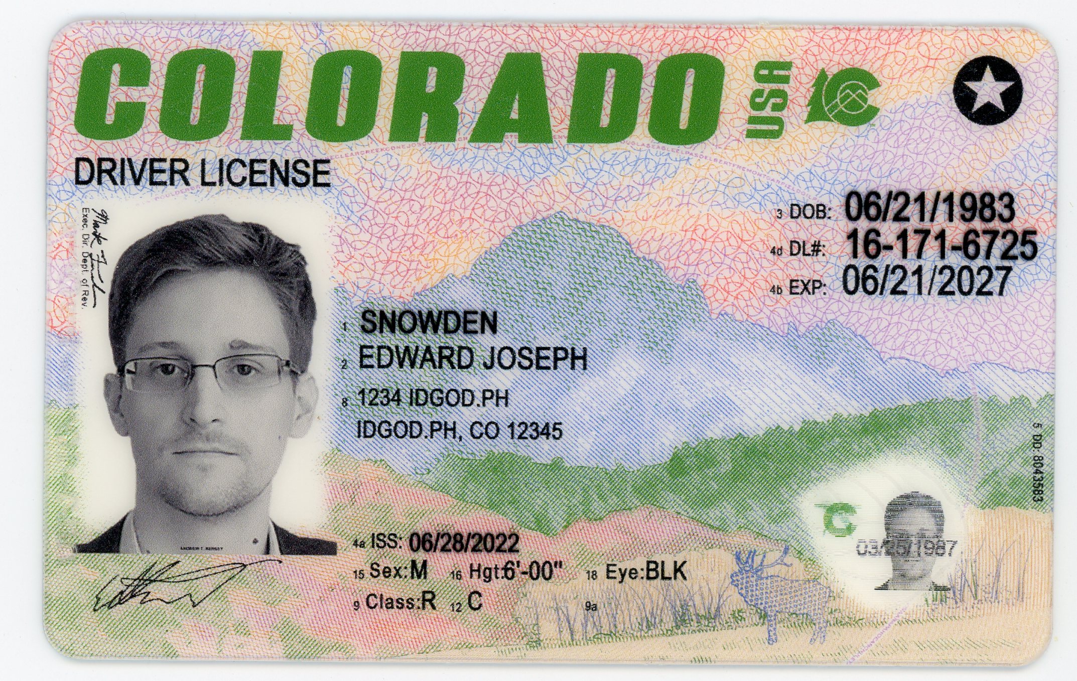 Colorado Fake ID